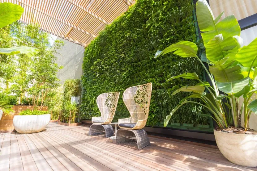 Sunny patio with a lush vertical living wall, tropical plants and two woven lounge chairs